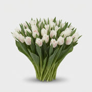 FeedSync:wholesale:ab9fa87f601d1986a5cd9c02b8ee757618a456af
