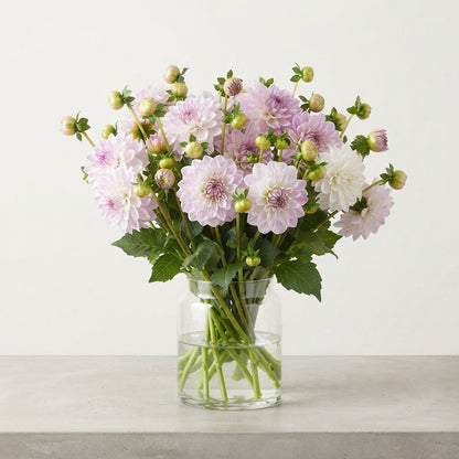FeedSync:wholesale:67d321d115cd58766afaaad1f28263c3105a7271