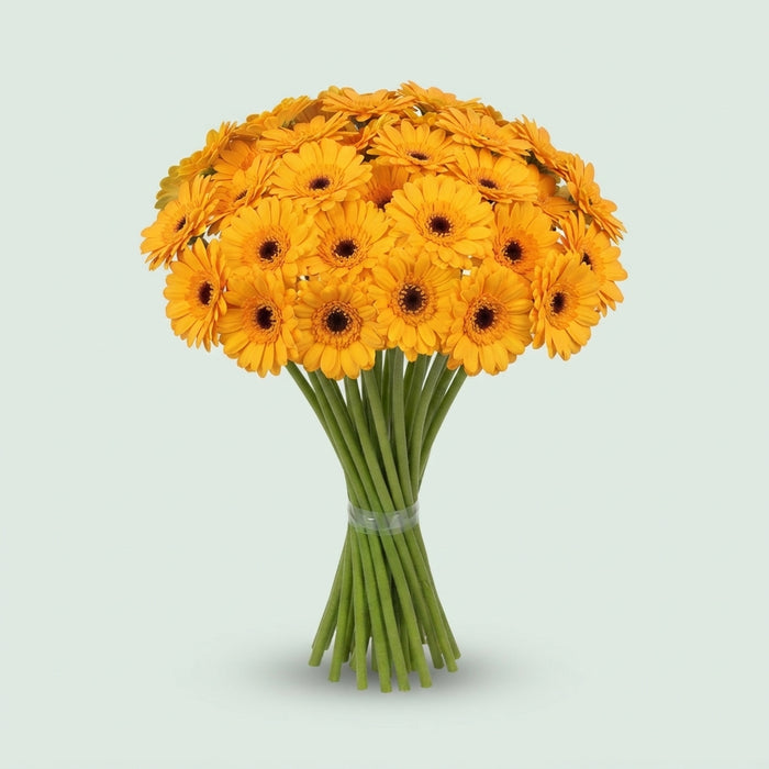 FeedSync:wholesale:83e4326f21e7a28c9c27a3d05a5b4273b14125cd