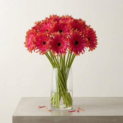 Gerbera Large Foxy