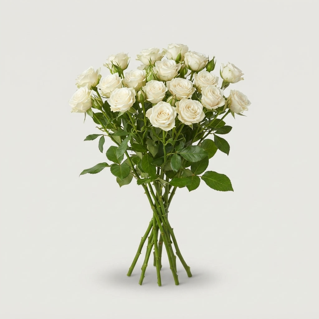 Spray Rose - Rosa - White Majolika