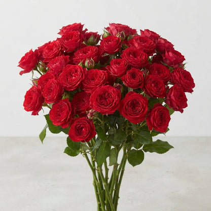 FeedSync:wholesale:4928f820b106315182c75b5e077fae9d1889576e