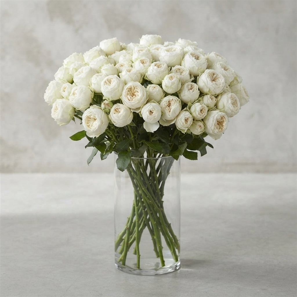 FeedSync:wholesale:e305481bb8a3dc93d97917f8a1d9e13da5819409