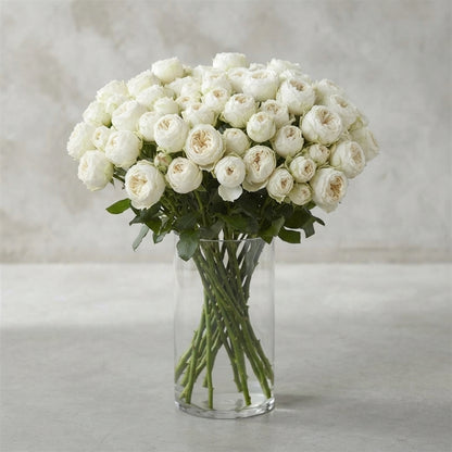 FeedSync:wholesale:e305481bb8a3dc93d97917f8a1d9e13da5819409