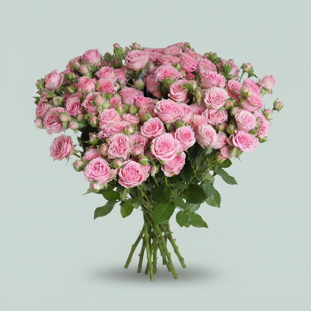 Spray Rose - Rosa - Madam Sofie