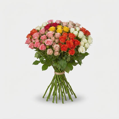 FeedSync:wholesale:0b3effc64ebcba9b1ad42be862100a68321092b9
