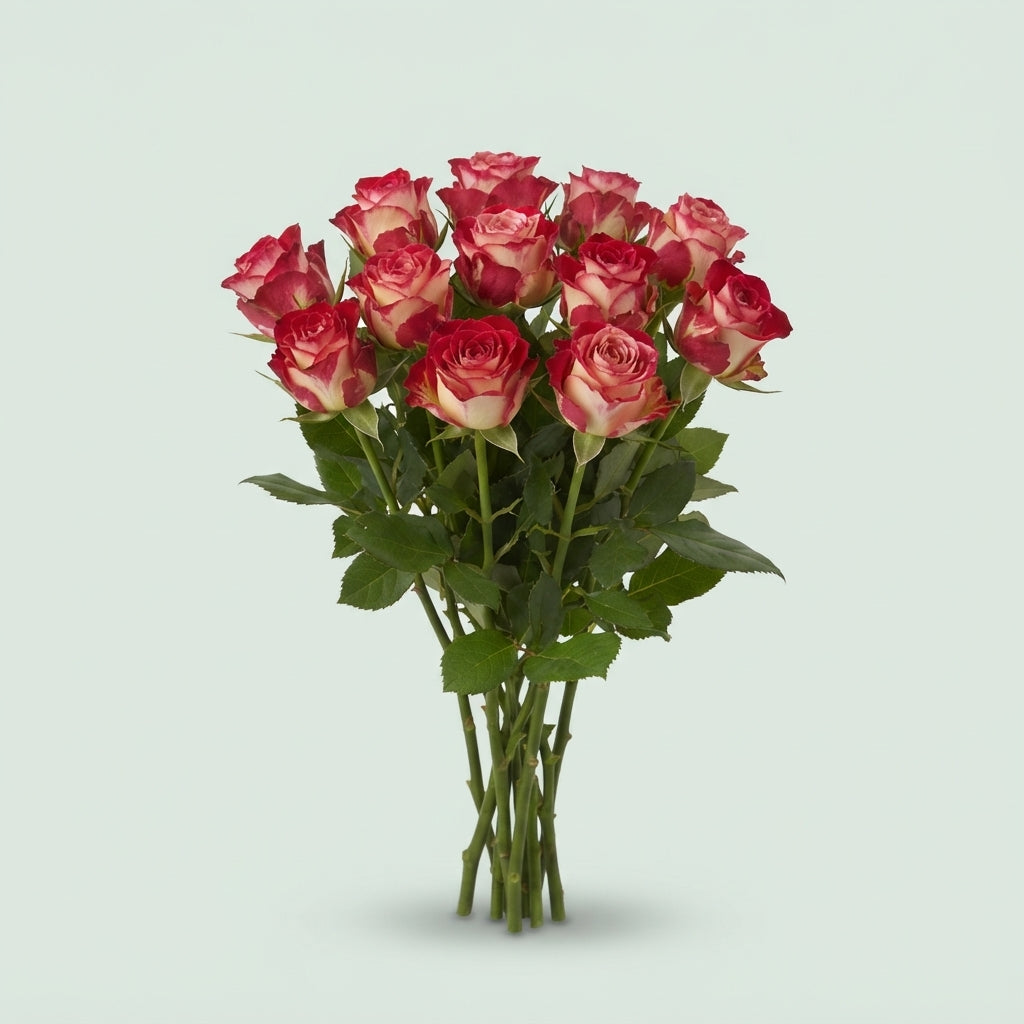 Spray Rose Summer Dance