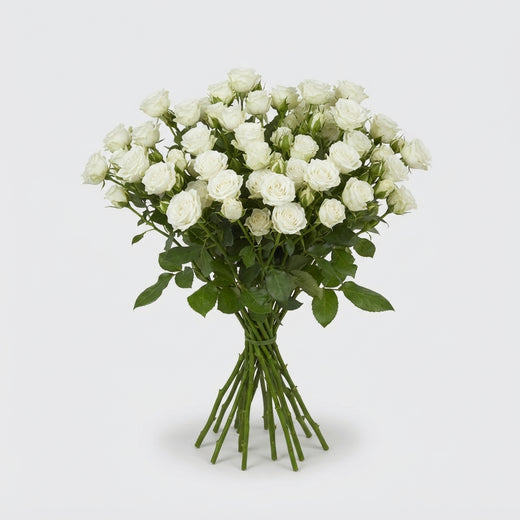 FeedSync:wholesale:78afa3b95d6a93a574f39718a460daa3a1f22e52