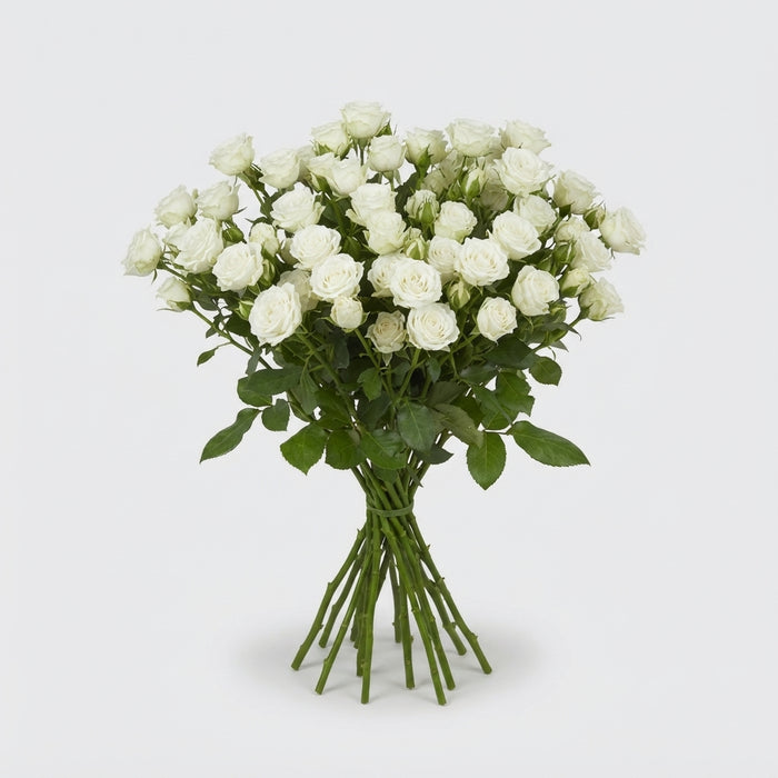FeedSync:wholesale:78afa3b95d6a93a574f39718a460daa3a1f22e52