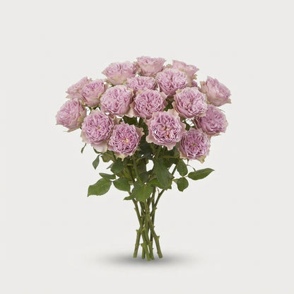 FeedSync:wholesale:f8067c60c587cc5327b38ef0de244ec9c02b9d5b