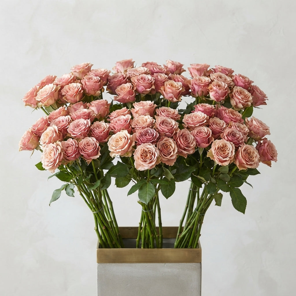 FeedSync:wholesale:4ec39307f47d5f6d47f4ca68bbcbf94985d743cf