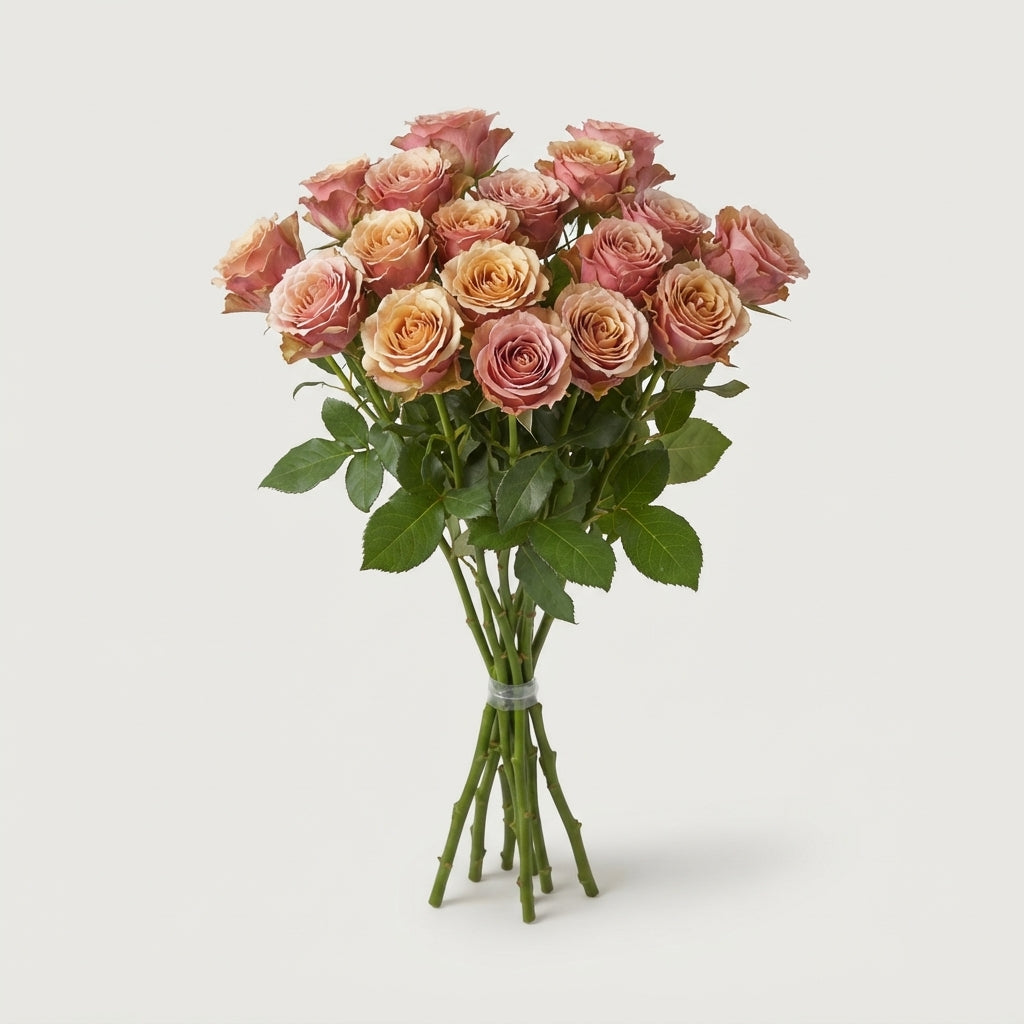 Spray Rose Destini