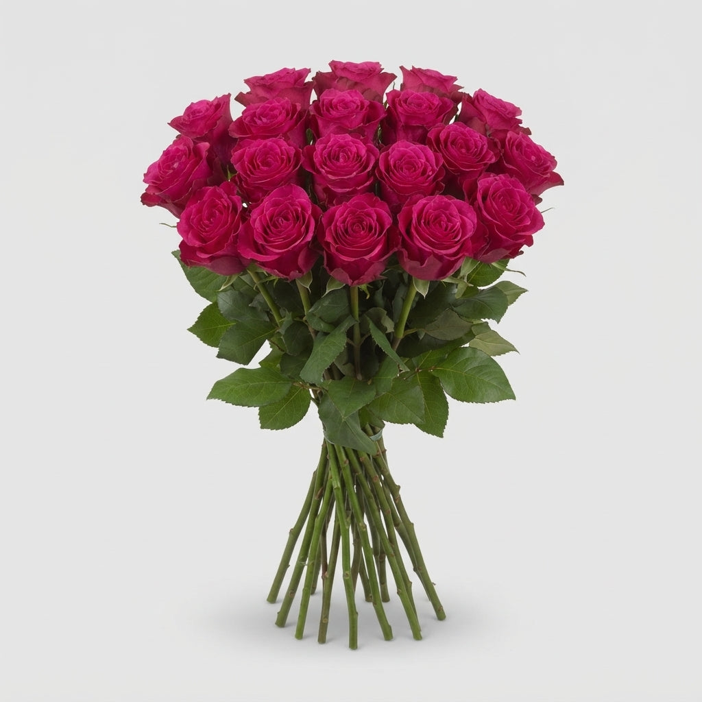 FeedSync:wholesale:b04b2066a47e5b411e057e7d17f566d0f689177a