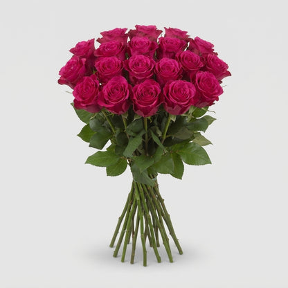 FeedSync:wholesale:b04b2066a47e5b411e057e7d17f566d0f689177a