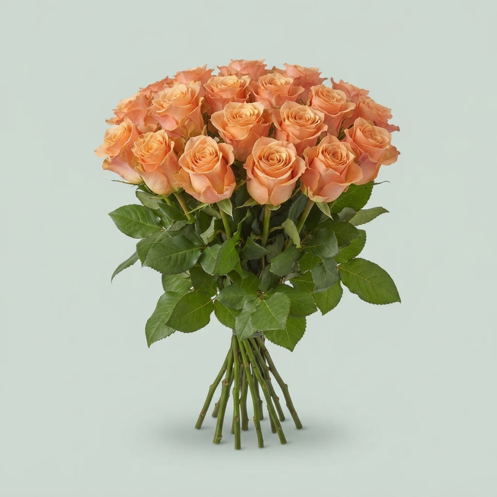 Rose Miss Jackie
