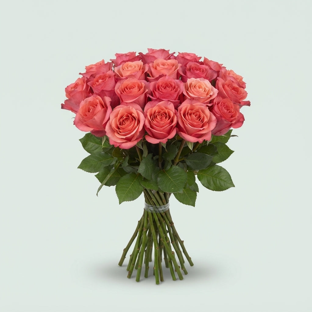FeedSync:wholesale:d2cca0f8a3e90c7e5f15592138c0d3b76d50e272