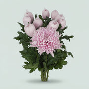 FeedSync:wholesale:09a748ee628c382d2f7fc7cf95345a9051e7f25b