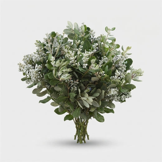 FeedSync:wholesale:2f10e6f904f8069888bc3627cd59e23e7c4d825e
