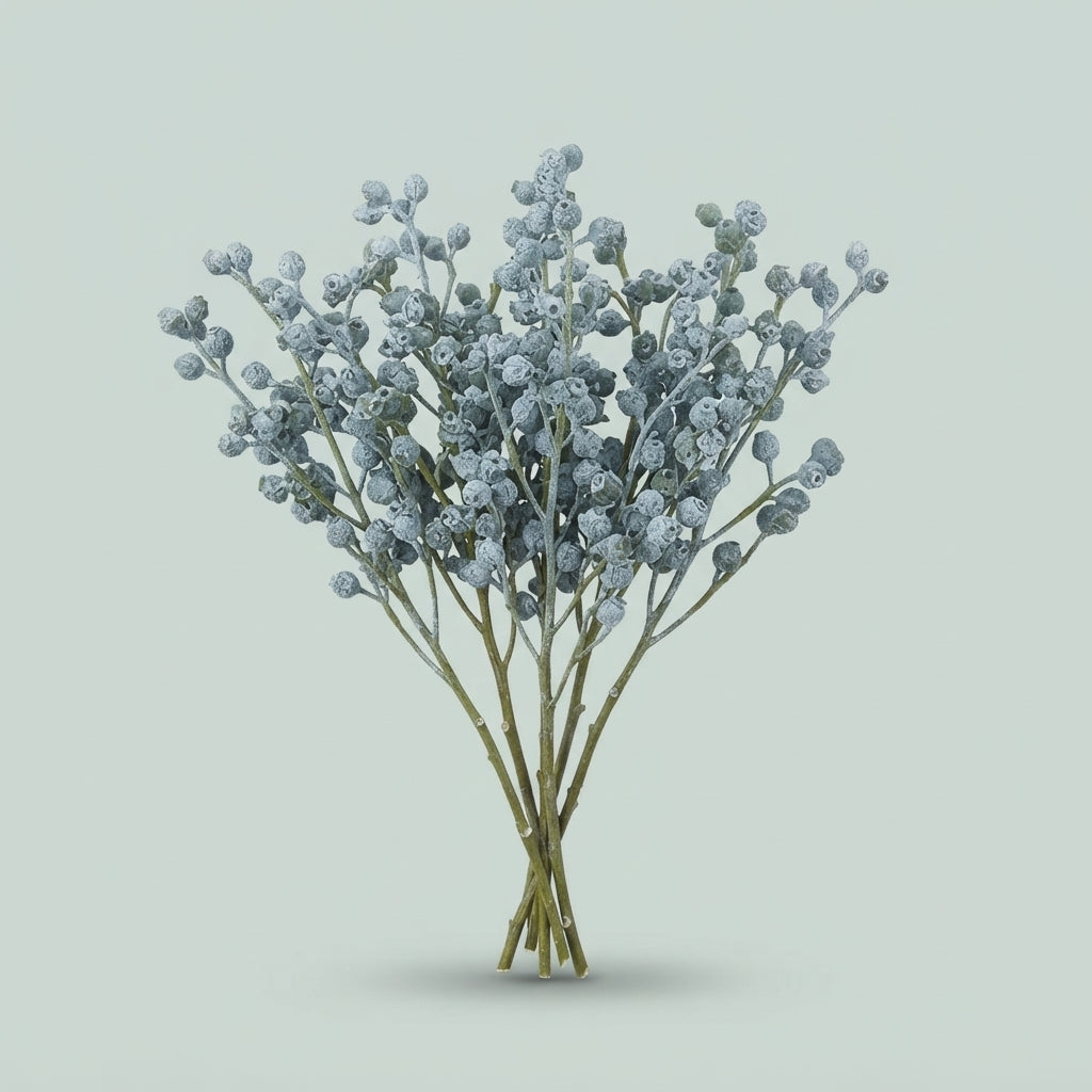 Eucalyptus Boule