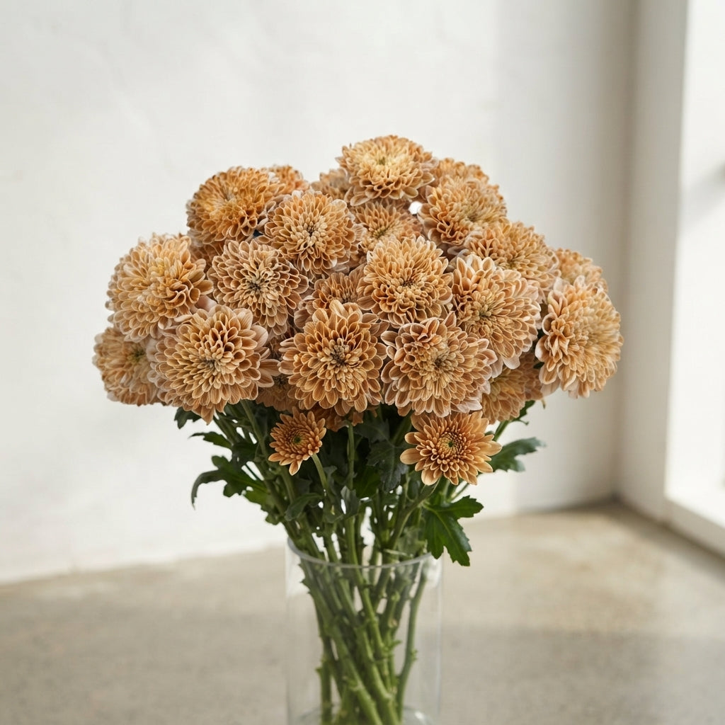 FeedSync:wholesale:adf758f39a6c58e7a25ab4bb14444f277d26c083
