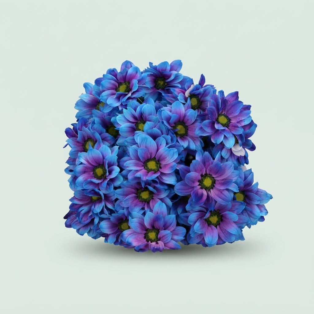 Chrysanthemum Spray Kennedy Dyed Tropical Northern Light