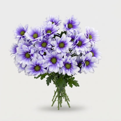 FeedSync:wholesale:203b15564cbd6bc5977efb8fd35a0d355ba2ffd2