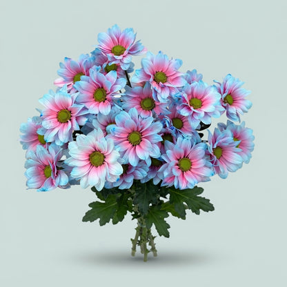 Chrysanthemum Spray Kennedy Dyed Tropical Mermaid