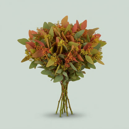 Eucalyptus Populus Berry Autumn