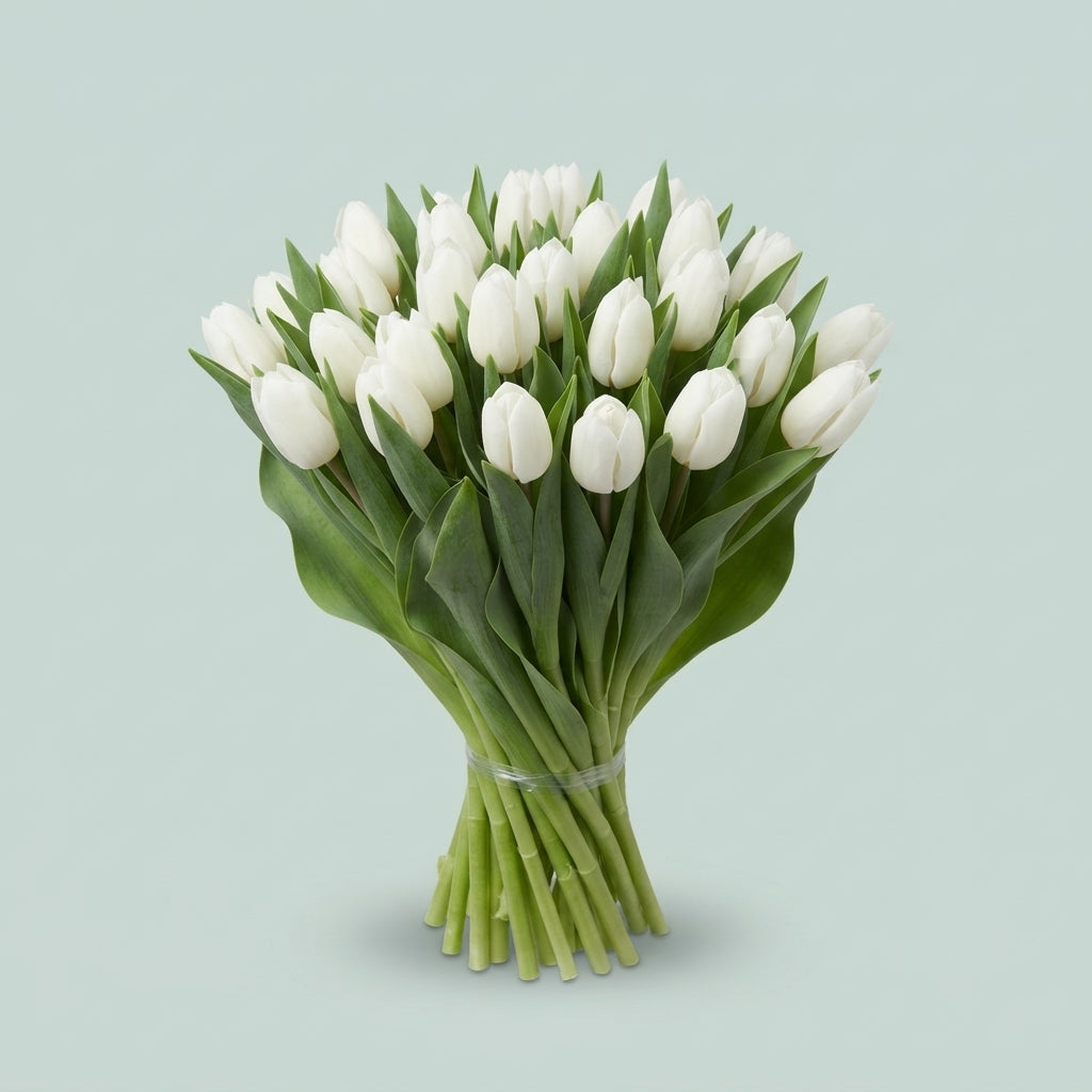 Tulip Snowboard