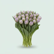 FeedSync:wholesale:09f079d986d31fc41987d3a47909fc267ba2968a