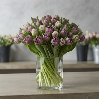 FeedSync:wholesale:f605f7db3a037e373d7e43ce3bd8163c7f76fce2