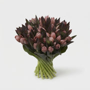FeedSync:wholesale:d7db758cc8ec43ef059faf7f314b7ea5ab3186bb