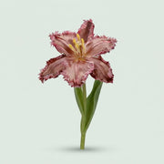 FeedSync:wholesale:353bdd4a13e2a2d7fc071c27ac0f1ad7a9159979