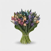 FeedSync:wholesale:7e38ce6bd75fffa3541eaa804e57c4d84becbfb6