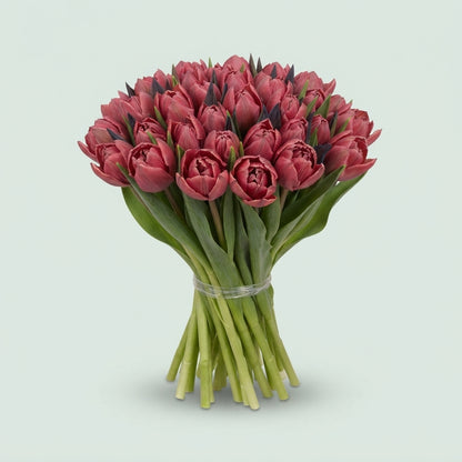 Tulip Double Dyed Terra Cotta