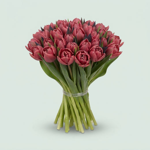 FeedSync:wholesale:0d5e86fa6859ac620e7e8d0f71cb707862850837
