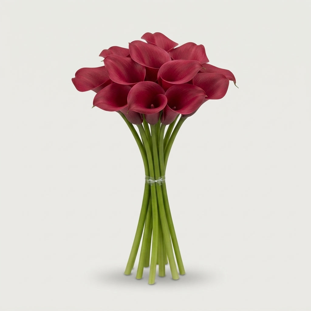Calla Lily Tokyo