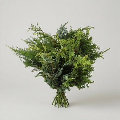Conifer Mix