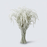 FeedSync:wholesale:97f739b2a76a06a426f9778f5825f7d7e2843ae4
