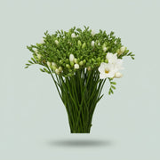 FeedSync:wholesale:f14f17b9ebd9c2fedf711ead4a74acf4060ed798