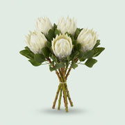 FeedSync:wholesale:4da22a1f7df8175e716b828b0b49d52308d57f2c