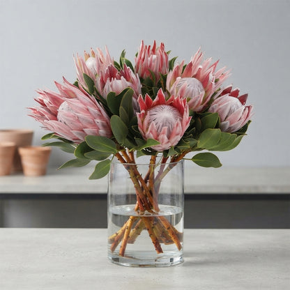 FeedSync:wholesale:05a36a729c9bd8b0b76ae732b9972167a2d43a58