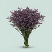 FeedSync:wholesale:ed926ea7089a8e246bbc7cda11755aeeb1ce2eed