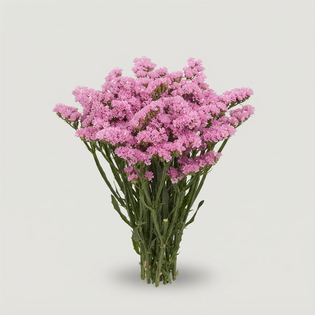 FeedSync:wholesale:5419f9c4985700994f0219d11580a63a9ab811ca