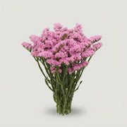 FeedSync:wholesale:5419f9c4985700994f0219d11580a63a9ab811ca