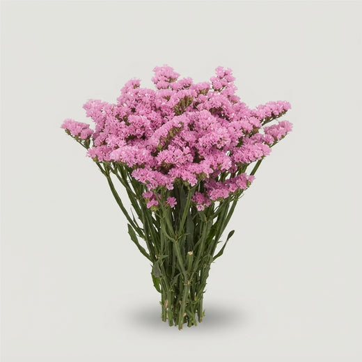 FeedSync:wholesale:5419f9c4985700994f0219d11580a63a9ab811ca