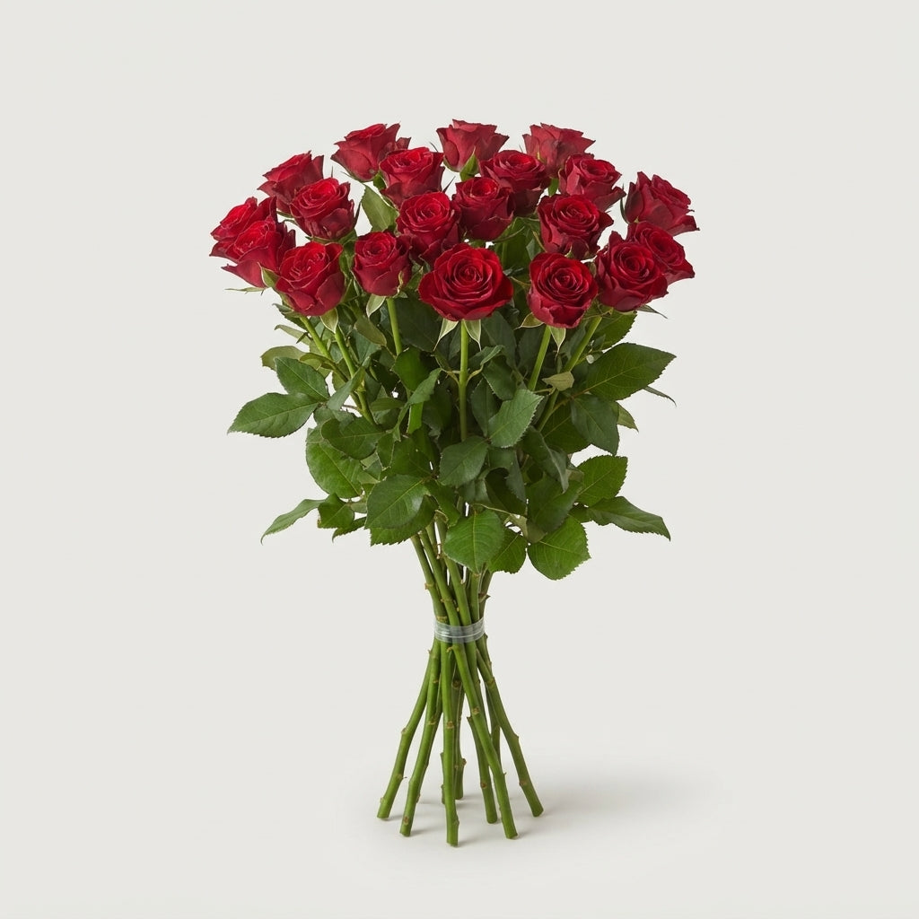 FeedSync:wholesale:48032850692e26a13a5eb86ca685cac858bc668c