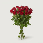 FeedSync:wholesale:48032850692e26a13a5eb86ca685cac858bc668c