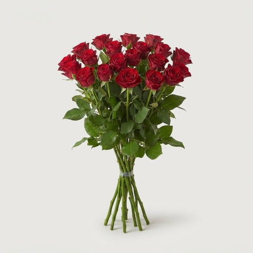 FeedSync:wholesale:48032850692e26a13a5eb86ca685cac858bc668c
