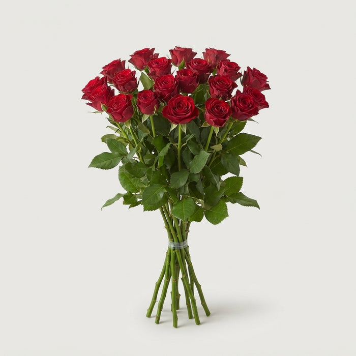 FeedSync:wholesale:48032850692e26a13a5eb86ca685cac858bc668c